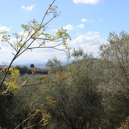 Country House Il Covo Della Civetta Barberino di Val dʼElsa Dış mekan fotoğraf