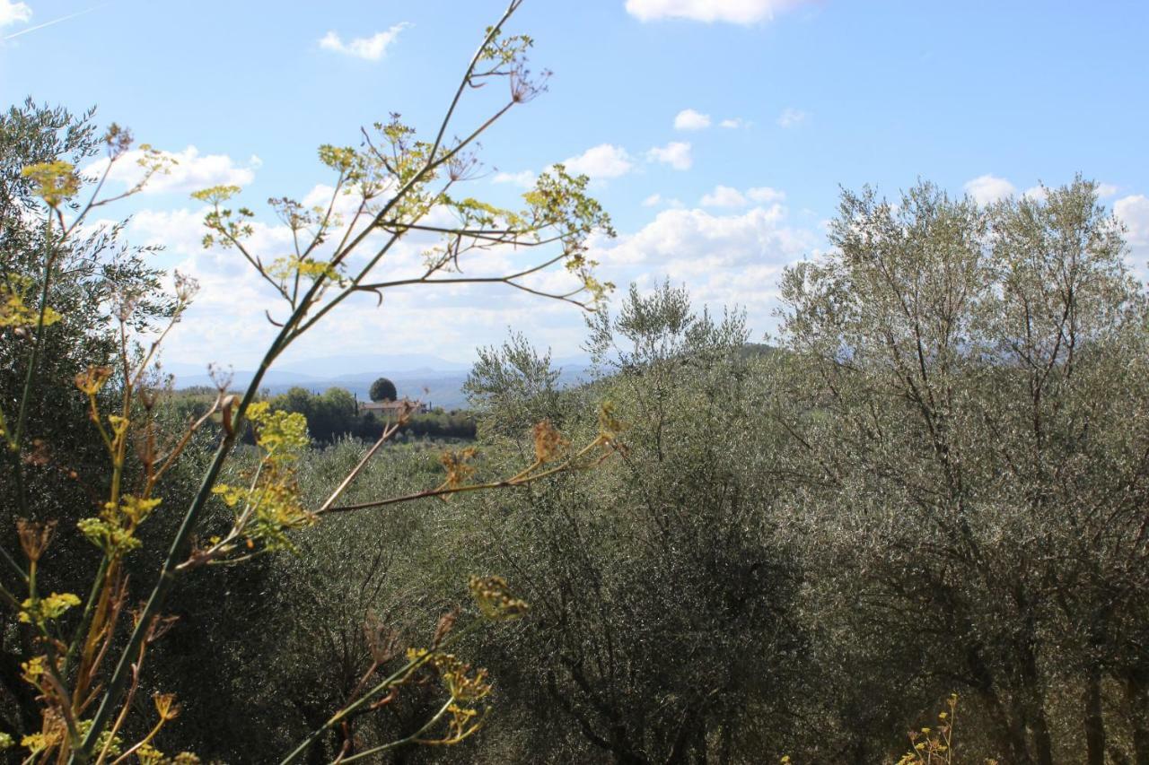 Country House Il Covo Della Civetta Barberino di Val dʼElsa Dış mekan fotoğraf
